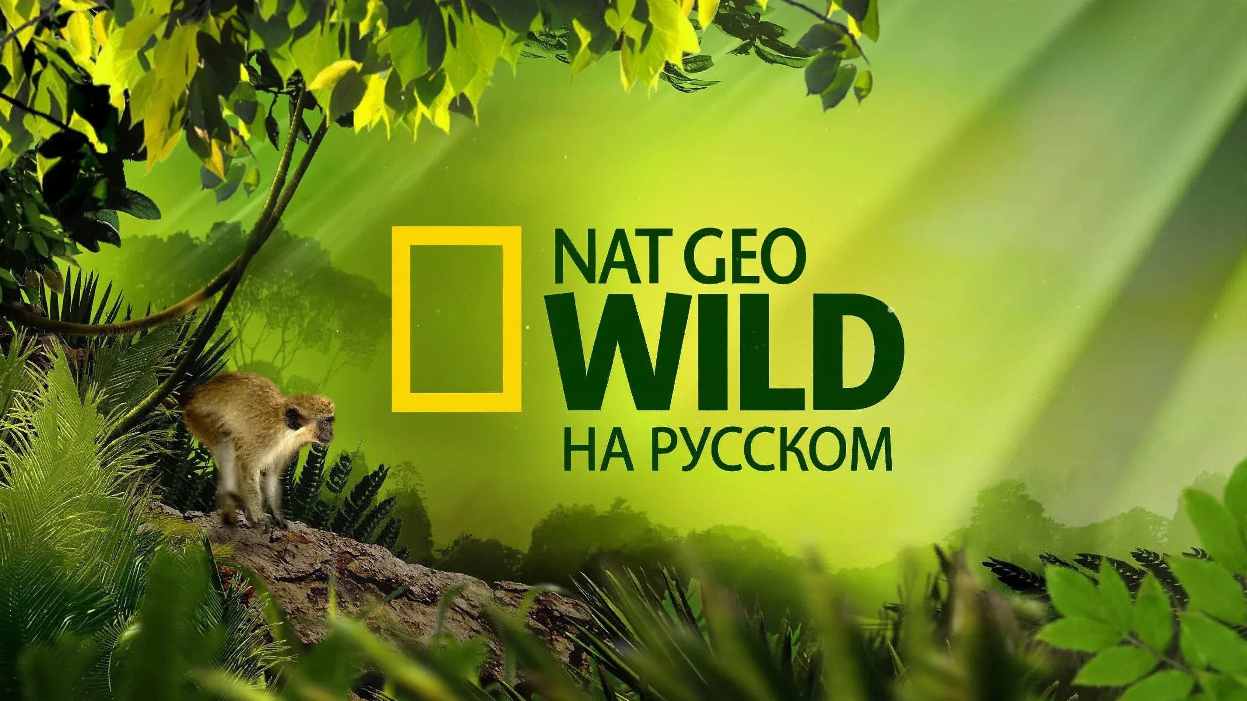 National Geographic Wild НА РУССКОМ ЯЗЫКЕ | Nat Geo Wild